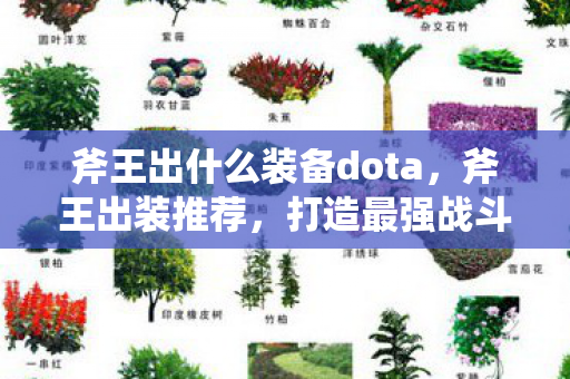 斧王出什么装备dota,斧王出装推荐,打造最强战斗装备 斧王出什么装备dota,斧王出装推荐,打造最强战斗装备