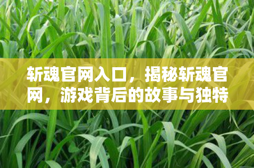 斩魂官网入口，揭秘斩魂官网，游戏背后的故事与独特魅力