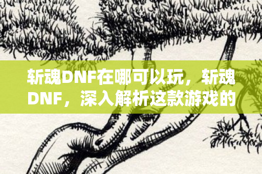 斩魂DNF在哪可以玩,斩魂DNF,深入解析这款游戏的魅力所在 斩魂DNF在哪可以玩,斩魂DNF,深入解析这款游戏的魅力所在