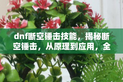 dnf断空锤击技能,揭秘断空锤击,从原理到应用,全方位解读这一神秘技巧 dnf断空锤击技能,揭秘断空锤击,从原理到应用,全方位解读这一神秘技巧