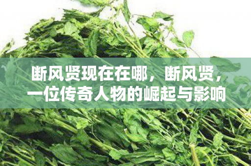 断风贤现在在哪,断风贤,一位传奇人物的崛起与影响 断风贤现在在哪,断风贤,一位传奇人物的崛起与影响