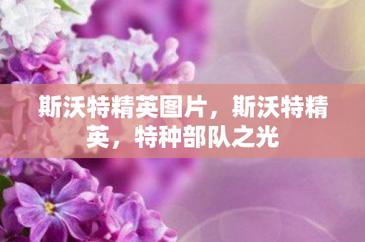 斯沃特精英图片,斯沃特精英,特种部队之光 斯沃特精英图片,斯沃特精英,特种部队之光