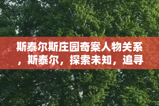 斯泰尔斯庄园奇案人物关系,斯泰尔,探索未知,追寻极致的旅程 斯泰尔斯庄园奇案人物关系,斯泰尔,探索未知,追寻极致的旅程