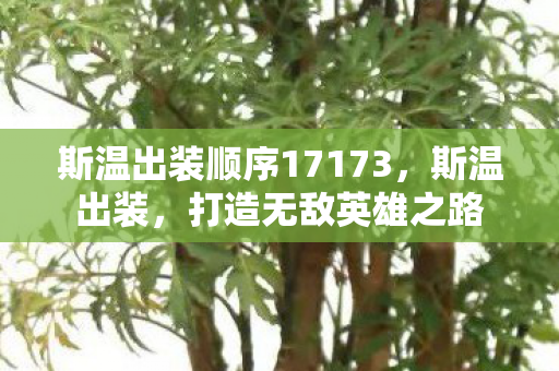 斯温出装顺序17173,斯温出装,打造无敌英雄之路 斯温出装顺序17173,斯温出装,打造无敌英雄之路
