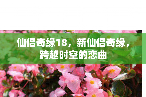 仙侣奇缘18，新仙侣奇缘，跨越时空的恋曲