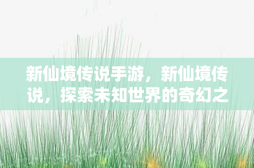 新仙境传说手游，新仙境传说，探索未知世界的奇幻之旅