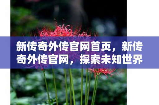 新传奇外传官网首页,新传奇外传官网,探索未知世界的门户 新传奇外传官网首页,新传奇外传官网,探索未知世界的门户
