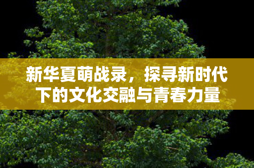 新华夏萌战录，探寻新时代下的文化交融与青春力量