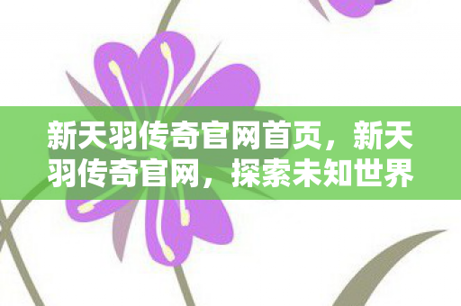 新天羽传奇官网首页，新天羽传奇官网，探索未知世界的门户