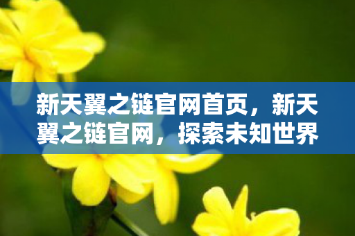 新天翼之链官网首页，新天翼之链官网，探索未知世界的门户