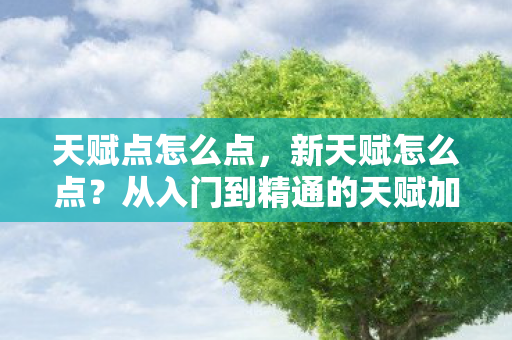 天赋点怎么点，新天赋怎么点？从入门到精通的天赋加点攻略