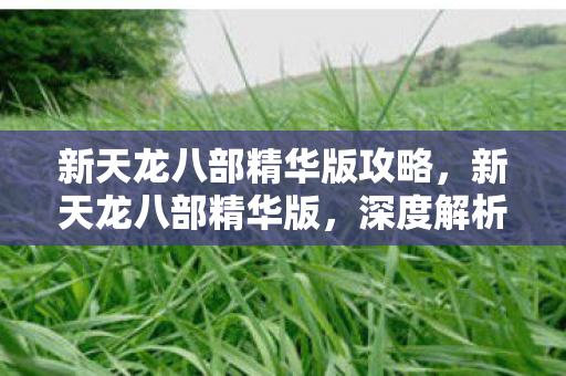 新天龙八部精华版攻略,新天龙八部精华版,深度解析游戏新特性与独特魅力 新天龙八部精华版攻略,新天龙八部精华版,深度解析游戏新特性与独特魅力