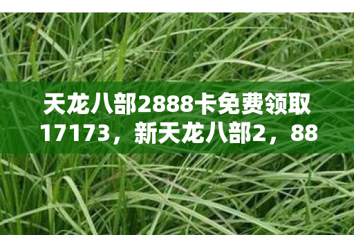 天龙八部2888卡免费领取17173,新天龙八部2,888卡免费领取攻略 天龙八部2888卡免费领取17173,新天龙八部2,888卡免费领取攻略
