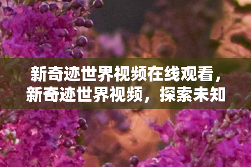 新奇迹世界视频在线观看，新奇迹世界视频，探索未知领域的奇幻之旅