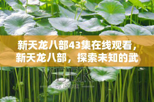新天龙八部43集在线观看,新天龙八部,探索未知的武侠世界—一位自媒体作者的深度体验 新天龙八部43集在线观看,新天龙八部,探索未知的武侠世界—一位自媒体作者的深度体验