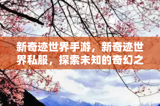 新奇迹世界手游,新奇迹世界私服,探索未知的奇幻之旅 新奇迹世界手游,新奇迹世界私服,探索未知的奇幻之旅
