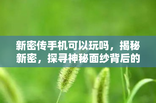 新密传手机可以玩吗，揭秘新密，探寻神秘面纱背后的故事