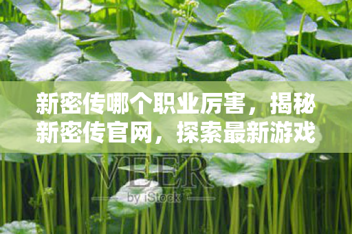 新密传哪个职业厉害,揭秘新密传官网,探索最新游戏世界的大门 新密传哪个职业厉害,揭秘新密传官网,探索最新游戏世界的大门