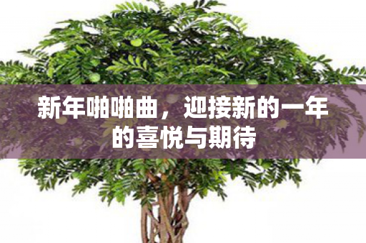新年啪啪曲,迎接新的一年的喜悦与期待 新年啪啪曲,迎接新的一年的喜悦与期待