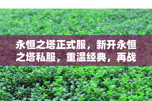 永恒之塔正式服,新开永恒之塔私服,重温经典,再战巅峰! 永恒之塔正式服,新开永恒之塔私服,重温经典,再战巅峰!