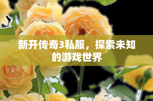 新开传奇3私服,探索未知的游戏世界 新开传奇3私服,探索未知的游戏世界