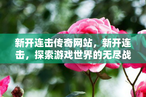 新开连击传奇网站,新开连击,探索游戏世界的无尽战斗激情 新开连击传奇网站,新开连击,探索游戏世界的无尽战斗激情