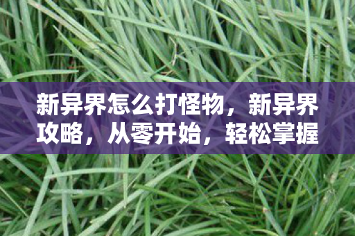 新异界怎么打怪物,新异界攻略,从零开始,轻松掌握攻略技巧 新异界怎么打怪物,新异界攻略,从零开始,轻松掌握攻略技巧