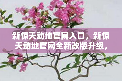 新惊天动地官网入口,新惊天动地官网全新改版升级,玩家们的游戏世界焕然一新!本文将为您详细介绍新惊天动地官网的特点和亮点,让您更好地了解这款备受欢迎的游戏 新惊天动地官网入口,新惊天动地官网全新改版升级,玩家们的游戏世界焕然一新!本文将为您详细介绍新惊天动地官网的特点和亮点,让您更好地了解这款备受欢迎的游戏