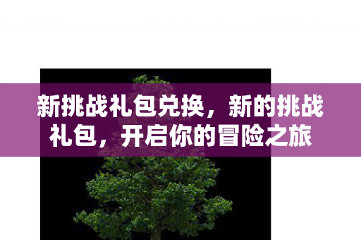 新挑战礼包兑换，新的挑战礼包，开启你的冒险之旅
