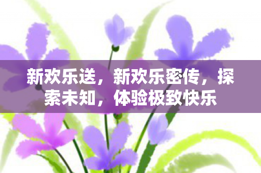 新欢乐送,新欢乐密传,探索未知,体验极致快乐 新欢乐送,新欢乐密传,探索未知,体验极致快乐