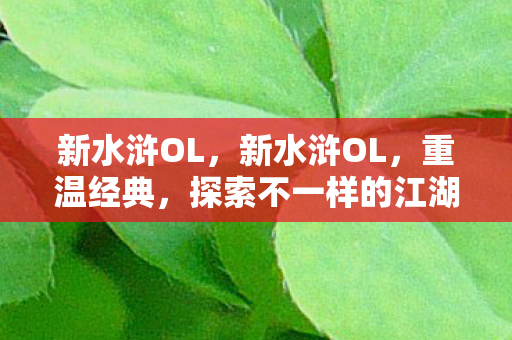 新水浒OL,新水浒OL,重温经典,探索不一样的江湖世界 新水浒OL,新水浒OL,重温经典,探索不一样的江湖世界