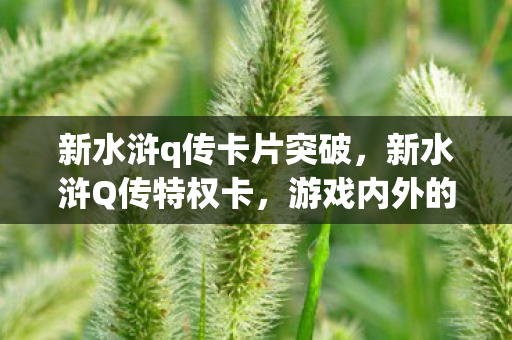 新水浒q传卡片突破，新水浒Q传特权卡，游戏内外的独特福利与特权解析