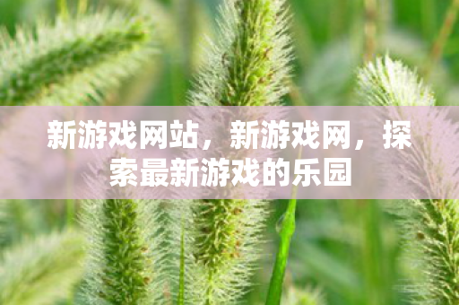 新游戏网站,新游戏网,探索最新游戏的乐园 新游戏网站,新游戏网,探索最新游戏的乐园