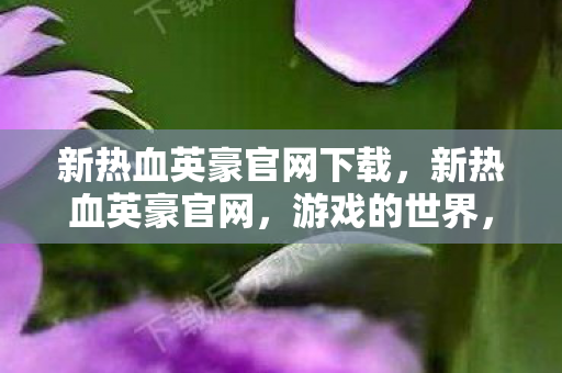 新热血英豪官网下载,新热血英豪官网,游戏的世界,玩家的乐园 新热血英豪官网下载,新热血英豪官网,游戏的世界,玩家的乐园