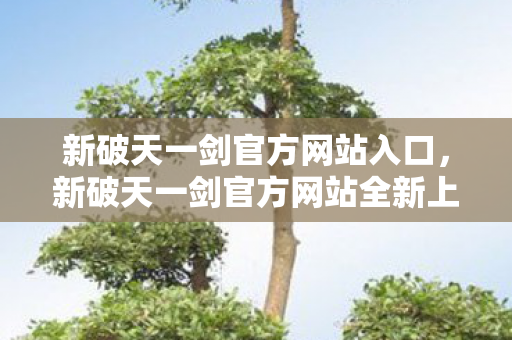 新破天一剑官方网站入口,新破天一剑官方网站全新上线—探索武侠世界的奇幻之旅 新破天一剑官方网站入口,新破天一剑官方网站全新上线—探索武侠世界的奇幻之旅