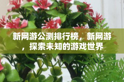 新网游公测排行榜,新网游,探索未知的游戏世界 新网游公测排行榜,新网游,探索未知的游戏世界