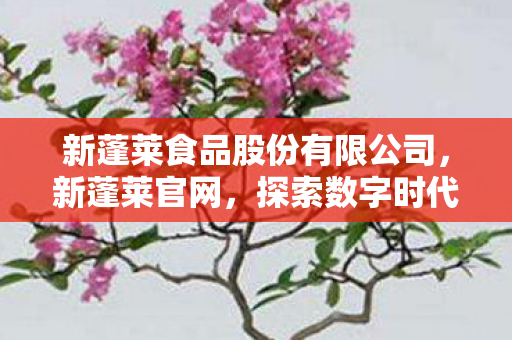 新蓬莱食品股份有限公司,新蓬莱官网,探索数字时代的蓬莱新纪元 新蓬莱食品股份有限公司,新蓬莱官网,探索数字时代的蓬莱新纪元