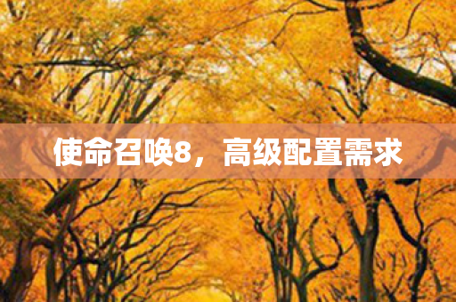 使命召唤8,高级配置需求 使命召唤8,高级配置需求