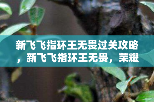 新飞飞指环王无畏过关攻略，新飞飞指环王无畏，荣耀与冒险的传奇之旅