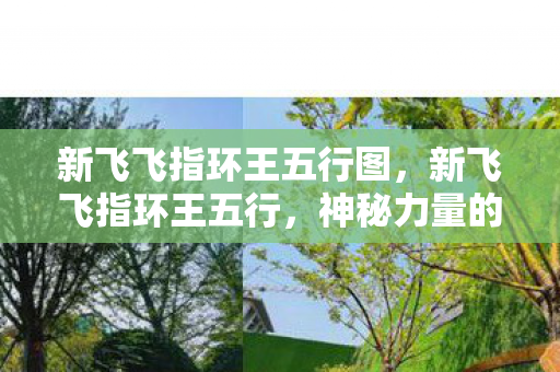 新飞飞指环王五行图,新飞飞指环王五行,神秘力量的五行解读与探索 新飞飞指环王五行图,新飞飞指环王五行,神秘力量的五行解读与探索