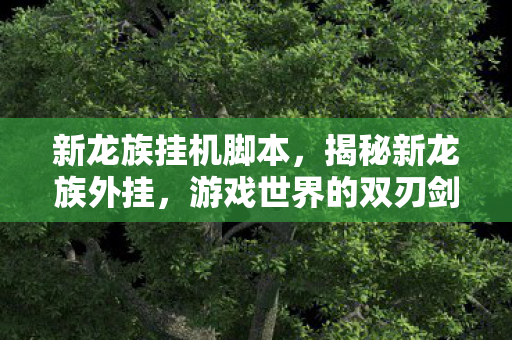 新龙族挂机脚本,揭秘新龙族外挂,游戏世界的双刃剑 新龙族挂机脚本,揭秘新龙族外挂,游戏世界的双刃剑