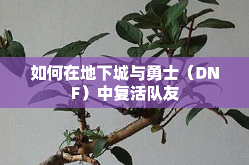 如何在地下城与勇士(DNF)中复活队友 如何在地下城与勇士(DNF)中复活队友