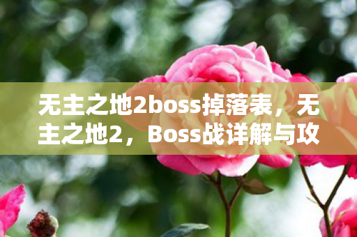 无主之地2boss掉落表,无主之地2,Boss战详解与攻略秘籍 无主之地2boss掉落表,无主之地2,Boss战详解与攻略秘籍