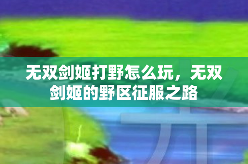 无双剑姬打野怎么玩,无双剑姬的野区征服之路 无双剑姬打野怎么玩,无双剑姬的野区征服之路