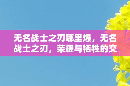 无名战士之刃哪里爆,无名战士之刃,荣耀与牺牲的交织 无名战士之刃哪里爆,无名战士之刃,荣耀与牺牲的交织
