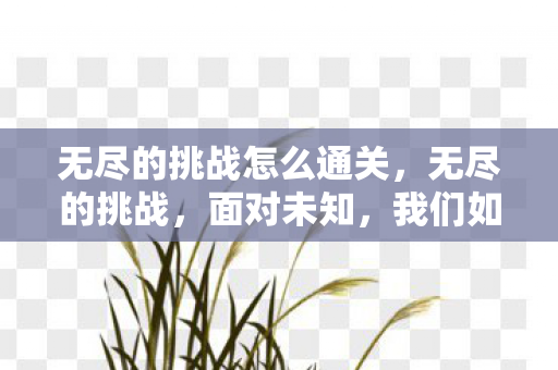 无尽的挑战怎么通关,无尽的挑战,面对未知,我们如何前行? 无尽的挑战怎么通关,无尽的挑战,面对未知,我们如何前行?