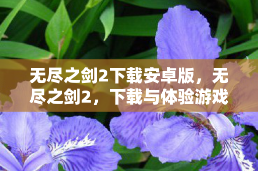 无尽之剑2下载安卓版,无尽之剑2,下载与体验游戏世界的无尽魅力 无尽之剑2下载安卓版,无尽之剑2,下载与体验游戏世界的无尽魅力