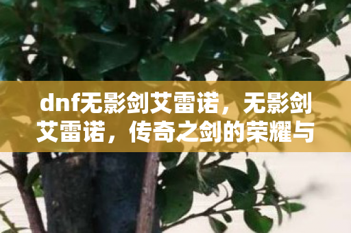 dnf无影剑艾雷诺，无影剑艾雷诺，传奇之剑的荣耀与传奇故事