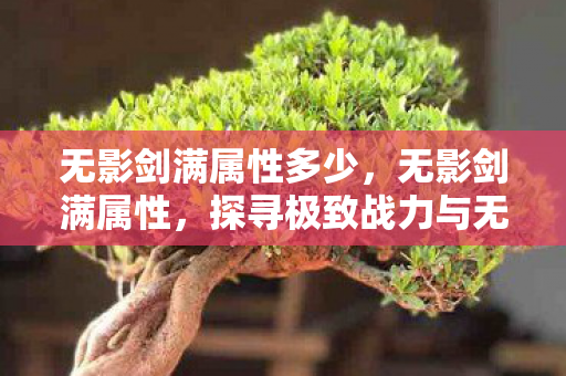 无影剑满属性多少,无影剑满属性,探寻极致战力与无限可能 无影剑满属性多少,无影剑满属性,探寻极致战力与无限可能