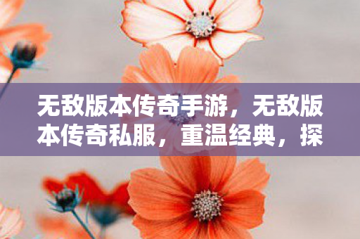 无敌版本传奇手游,无敌版本传奇私服,重温经典,探索未知的游戏世界 无敌版本传奇手游,无敌版本传奇私服,重温经典,探索未知的游戏世界